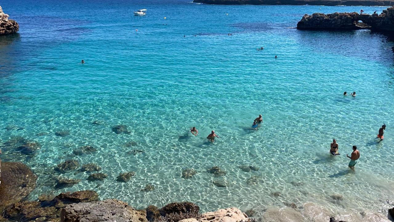Fonoll Mari S'Illot (Mallorca)